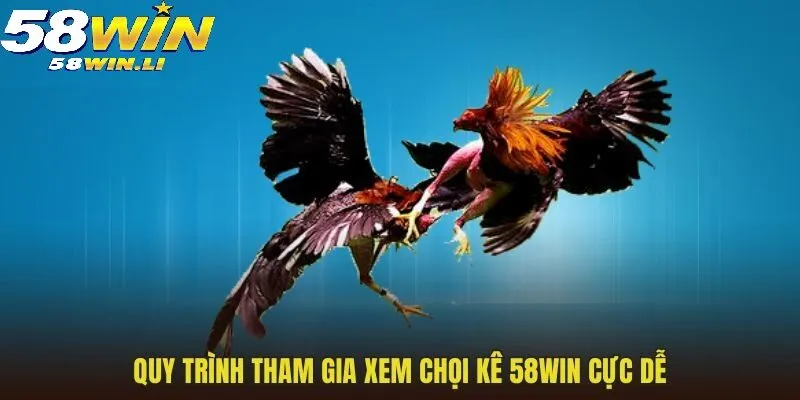 Quy trình tham gia xem chọi kê 58WIN cực dễ