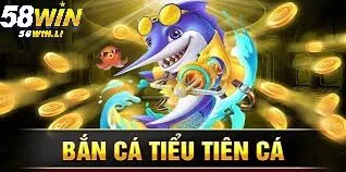 Bắn Cá Tiểu Tiên Cá – Trải Nghiệm Hấp Dẫn Tại 58win 2025 3 Tại sao tân thủ nên chơi tựa game này?