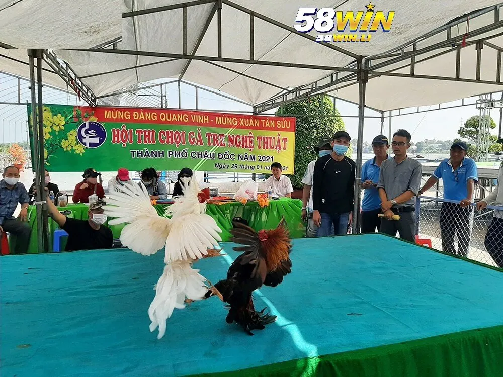 Đá Gà Tre 58win 2025: Cá Cược Đá Gà Đỉnh Cao 4 Giá trị kinh tế và văn hóa của Đá Gà Tre 58win